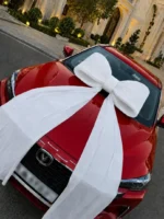 پاپیون نمایشگاهی