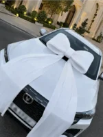 پاپیون پارچه ای