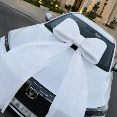پاپیون پارچه ای